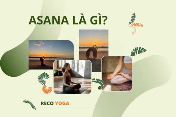 Asana là gì trong yoga? 5 tư thế asana cơ bản nhất