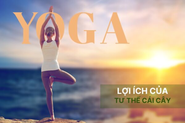 10 lợi ích của tư thế cái cây Vrikshasana trong yoga 
