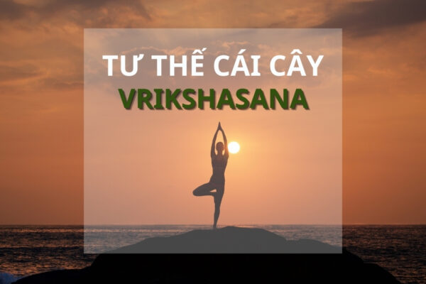 Tư thế cái cây Vrikshasana: Nguồn gốc, lợi ích và cách thực hiện