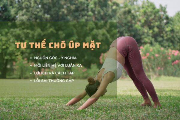 Tư thế chó úp mặt trong yoga: Tác dụng và cách tập