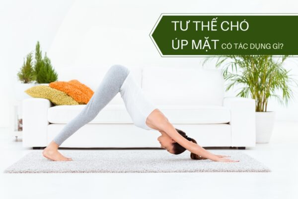 Tư thế chó úp mặt có tác dụng gì? - 11 lợi ích nổi bật