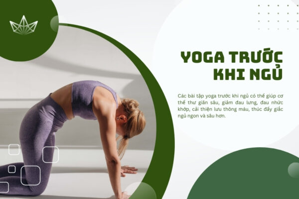 TOP 6 tư thế yoga trước khi ngủ cho giấc ngủ ngon 
