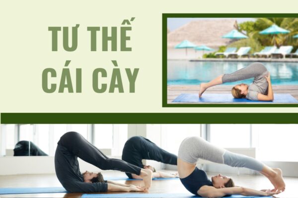 Tư thế cái cày: Đảo ngược thân thể, chữa lành tâm trí