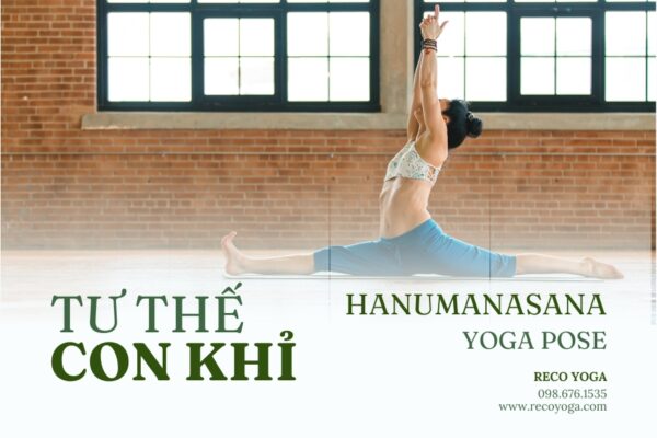 Lợi ích của tư thế con khỉ trong yoga (Monkey Pose)