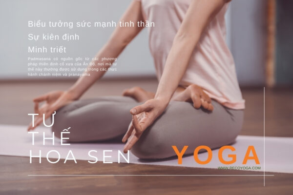 Tư thế hoa sen Padmasana: Biểu tượng cho sức mạnh tinh thần