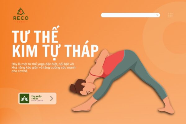 Mẹo tập tư thế kim tự tháp cho người mới bắt đầu