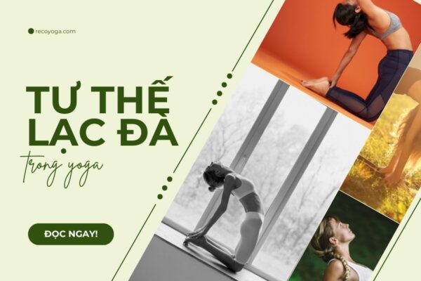 11 lợi ích của tư thế lạc đà - Hướng dẫn thực hiện 
