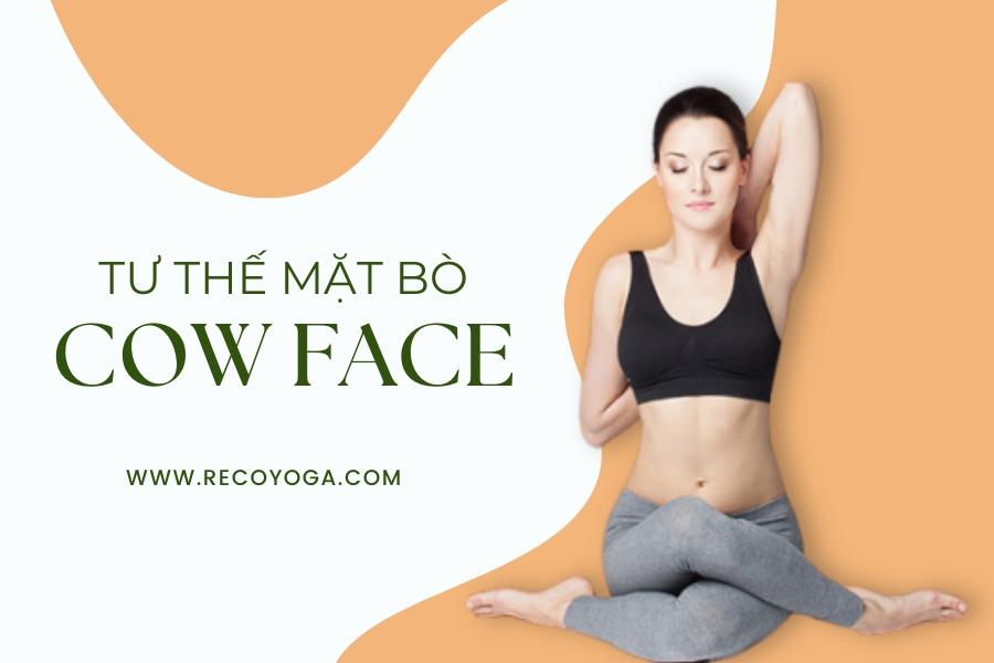 11 lợi ích của tư thế mặt bò trong yoga có thể bạn chưa biết 11 lợi ích của tư thế mặt bò trong yoga có thể bạn chưa biết