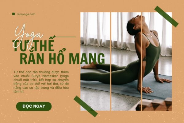 Tư thế rắn hổ mang trong yoga có tác dụng gì?
