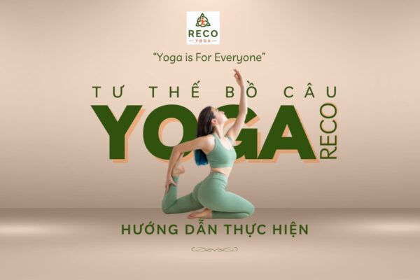 Tư thế bồ câu: Hướng dẫn thực hiện các biến thể trong yoga