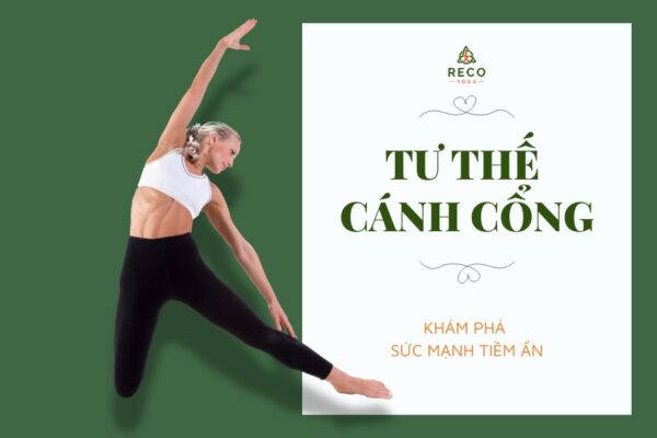 Tư thế cánh cổng: Đốt cháy calo, siết eo hiệu quả