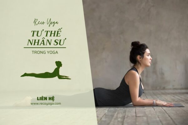 Tư thế nhân sư trong yoga: Khơi dậy sức mạnh nội tại