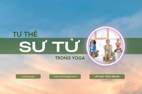 Tư thế sư tử trong yoga: Bí quyết xua tan căng thẳng, lo âu