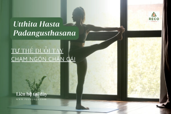 Utthita Hasta Padangusthasana - Tư thế duỗi tay chạm ngón chân cái