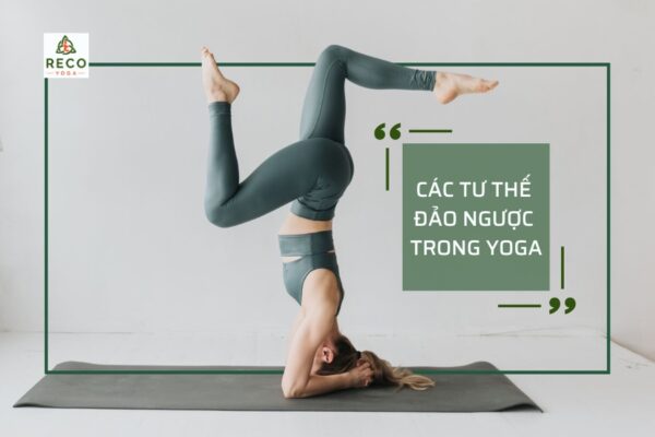 Điểm danh 10 lợi ích của các tư thế đảo ngược trong yoga