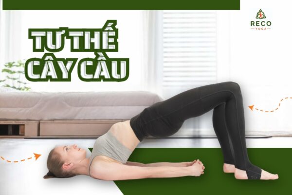 Tư thế cây cầu trong yoga: Cách tập đúng để giảm đau lưng