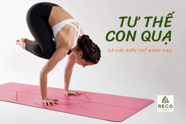 Tư thế con quạ trong yoga và các biến thể phổ biến