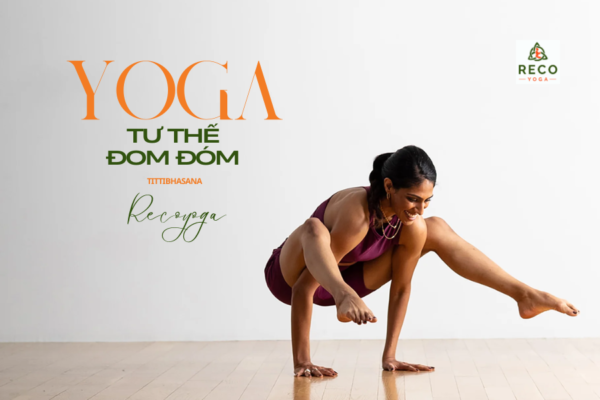Tư thế đom đóm (Tittibhasana): Cách thực hiện và lợi ích sức khỏe