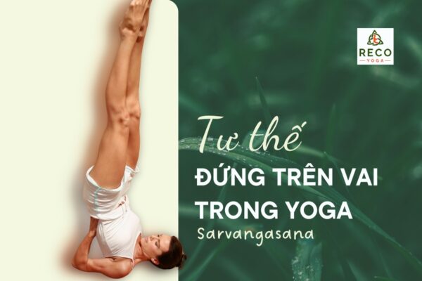 Tư thế đứng trên vai: Nữ hoàng của các asana trong yoga