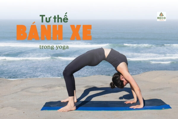 Lợi ích và cách lên tư thế bánh xe trong yoga