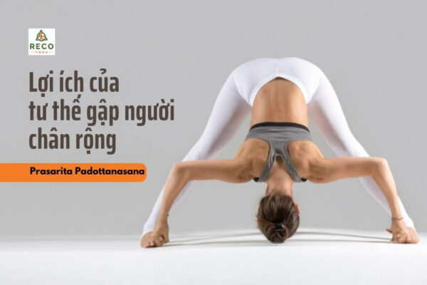 Giãn cơ toàn diện với tư thế gập người chân rộng